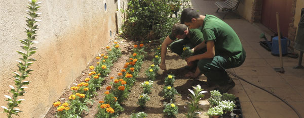 Programa Integral - Fundació Barberà Promoció